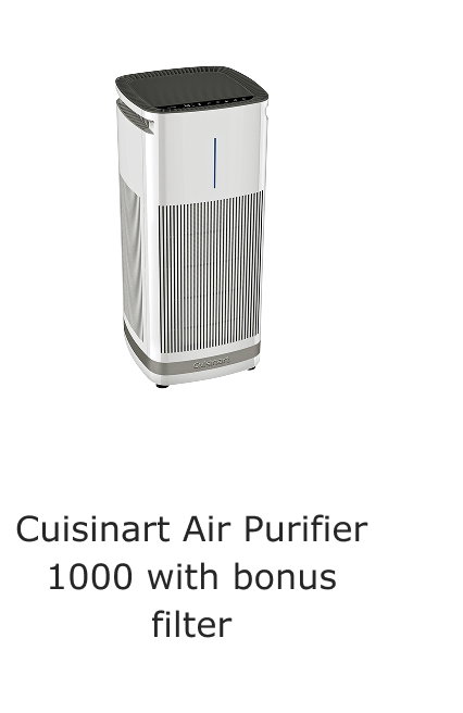 Cuisinart Air Purifier 1000 with bonus filter.