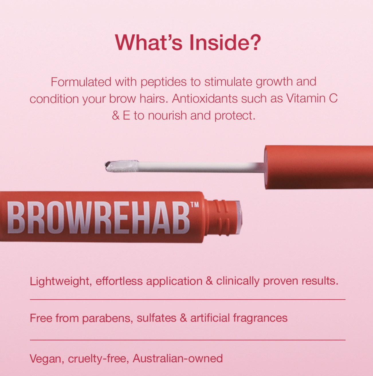 What's Inside?