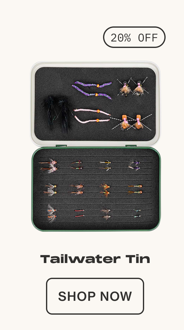 Tailwqter TIn