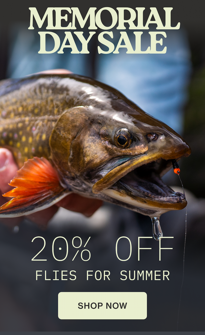 20% OFF FLIES