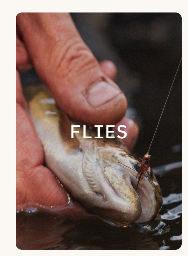 Flies