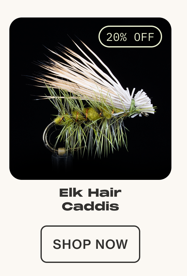 Elk Hair Caddis