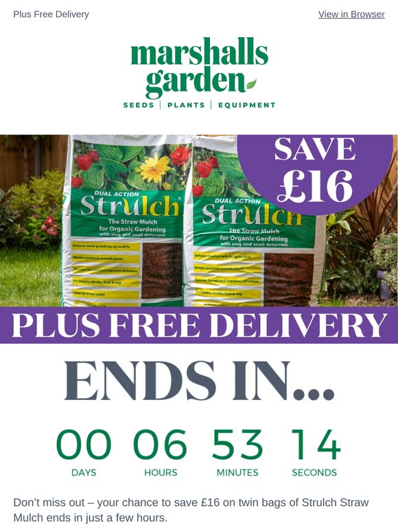Ends Tonight: Save £16 on Strulch