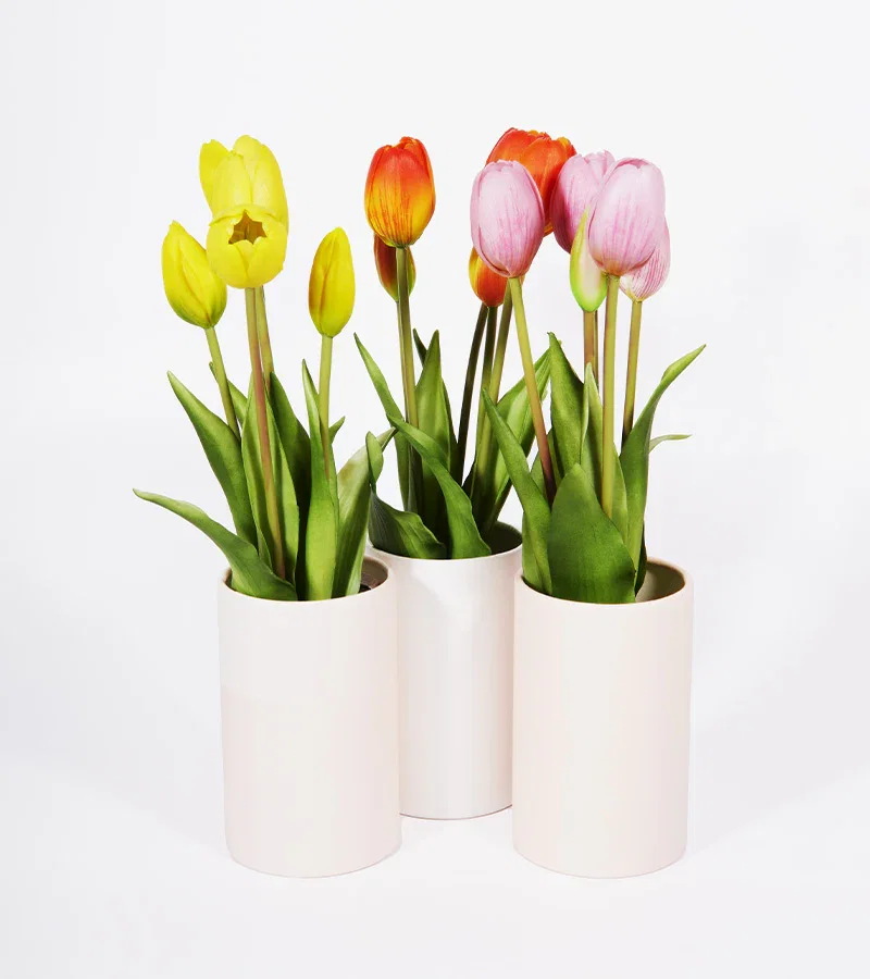 Image of Bouquet de tulipes réalistes
