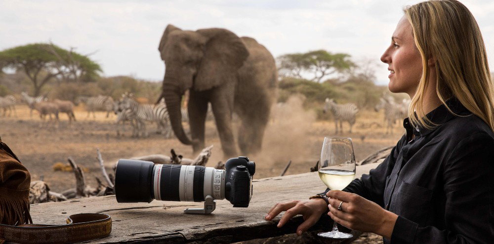 Traveller photographing wildlife as elephants pass nearby on safari