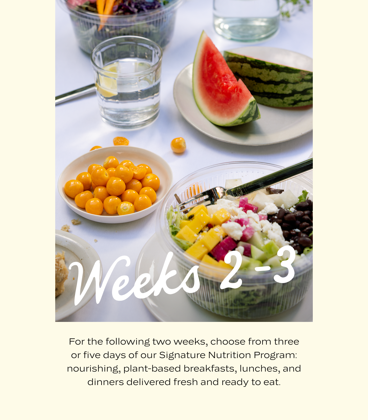 Weeks 2-3: For the following two weeks, choose from three or five days of our Signature Nutrition Program: nourishing, plant-based breakfasts, lunches, and dinners delivered fresh and ready to eat.