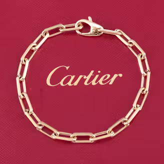 Cartier Santos de Cartier 18K Chain Bracelet
