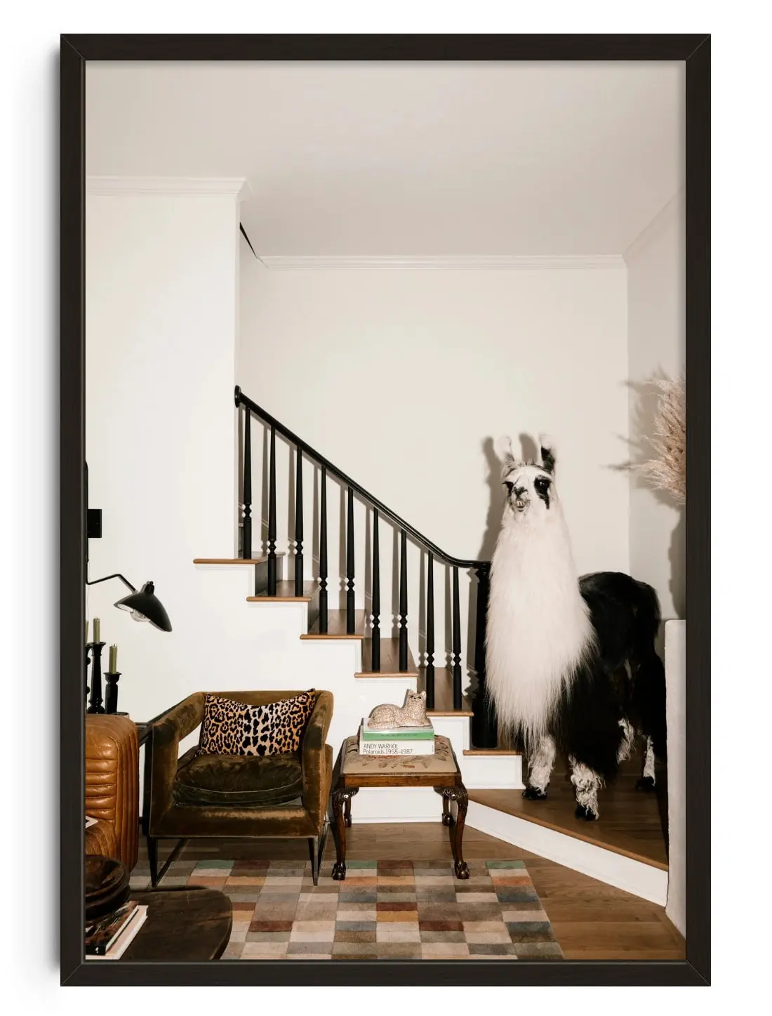 Image of A Welcome Llama