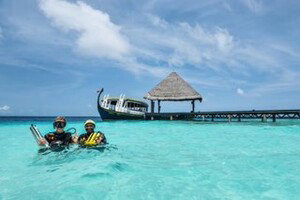 Activities & Experiences