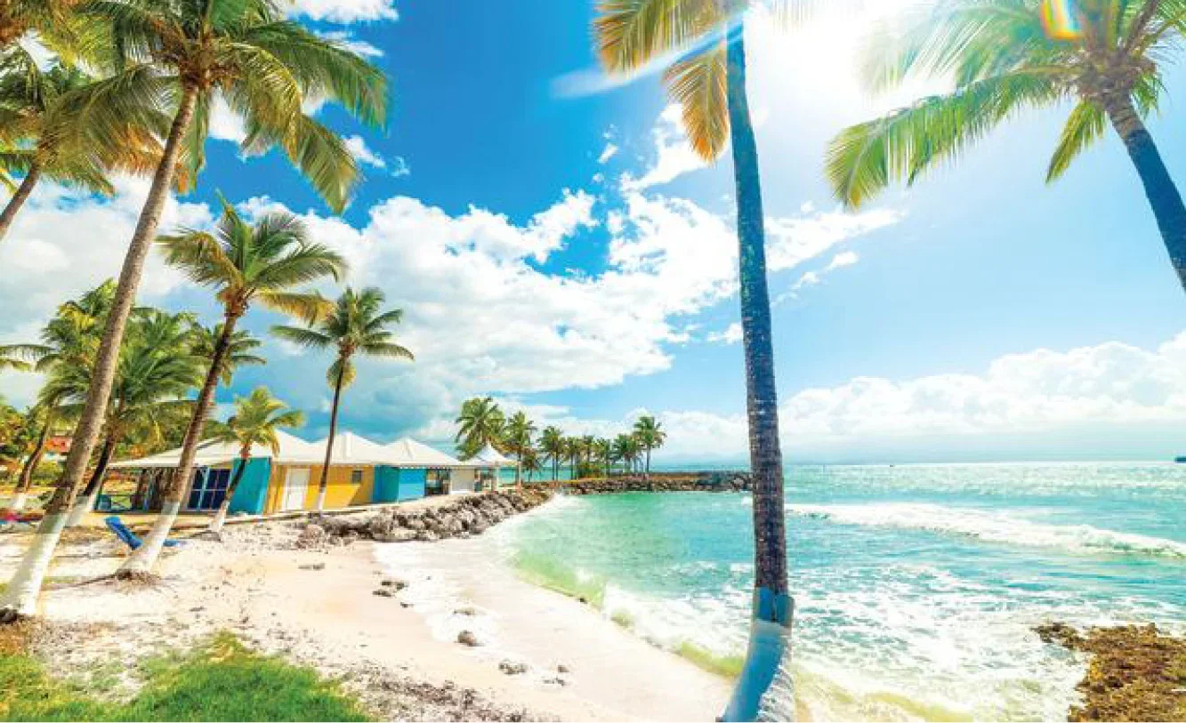 Idyllic beach haven with multi coloured beach huts nestled across the crystal blue ocean surrounded by palm trees.