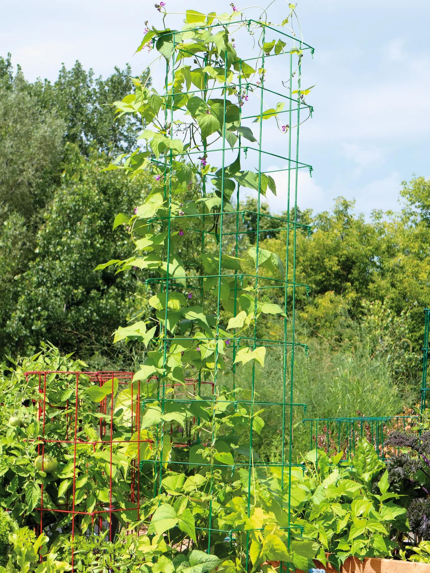 Image of Bean Tower