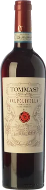 Tommasi Valpolicella 2024
