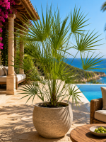 Artikel