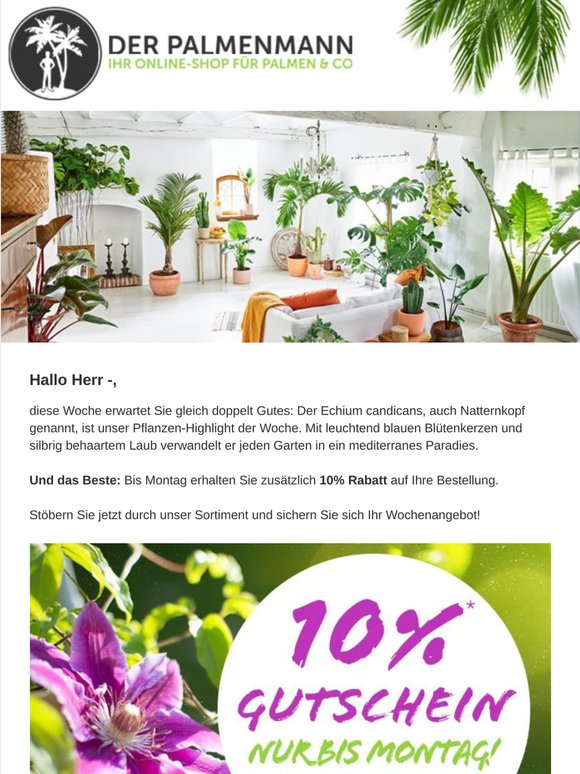 Bis Montag: 10% Rabatt und Natternkopf im Wochenangebot