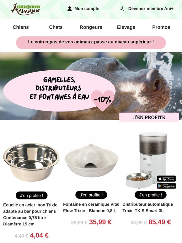 Des repas bien servis à prix mini !