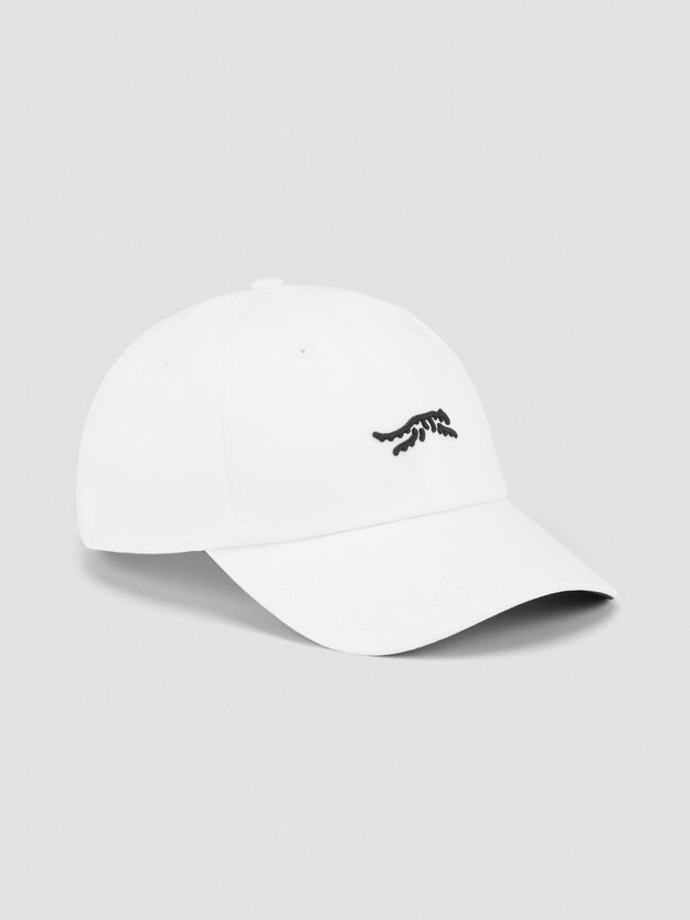 ICON 6 PANEL CLIPBACK DAD HAT