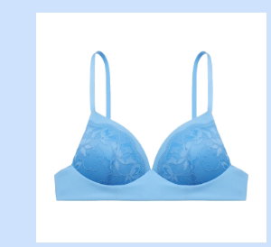 Lightly Lined Wireless Bra with Charmed Lace in Azure Blue
