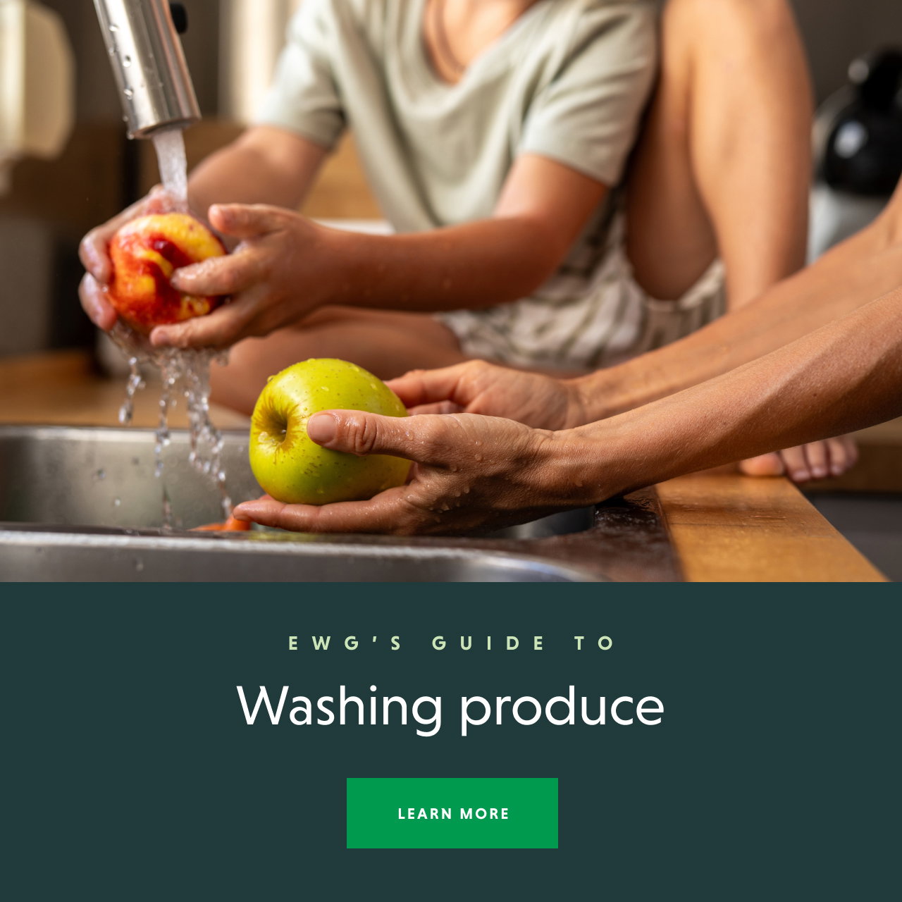Guide to Washing Produce - MORE