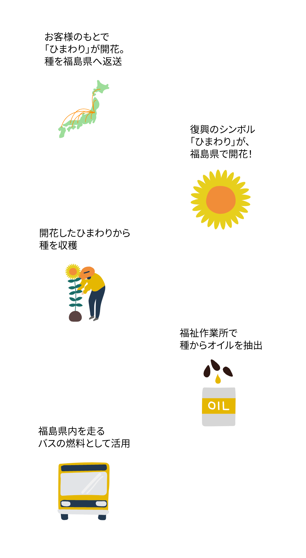 お客様のもとで 「ひまわり」が開花。 種を福島県へ返送  お客様のもとで 「ひまわり」が開花。 種を福島県へ返送 開花したひまわりから 種を収穫 福祉作業所で 種からオイルを抽出 福島県内を走る バスの燃料として活用