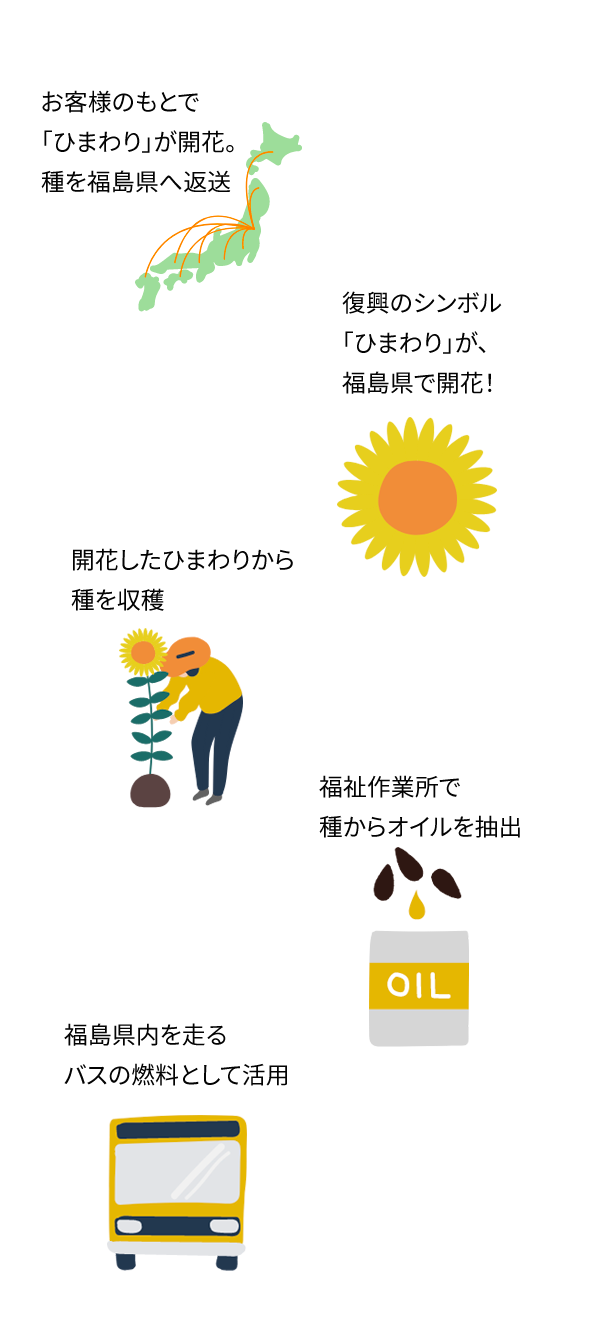 お客様のもとで 「ひまわり」が開花。 種を福島県へ返送  お客様のもとで 「ひまわり」が開花。 種を福島県へ返送 開花したひまわりから 種を収穫 福祉作業所で 種からオイルを抽出 福島県内を走る バスの燃料として活用