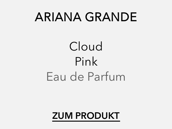 Produktbeschreibung Produktempfehlung