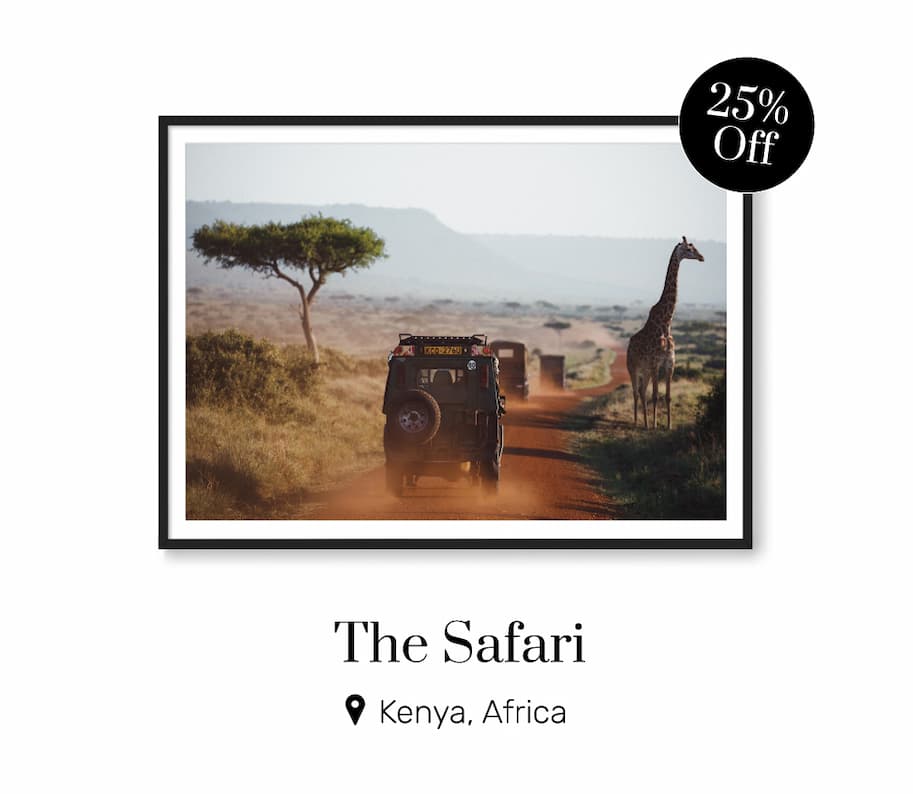 The Safari