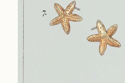 Starfish Statement Earrings