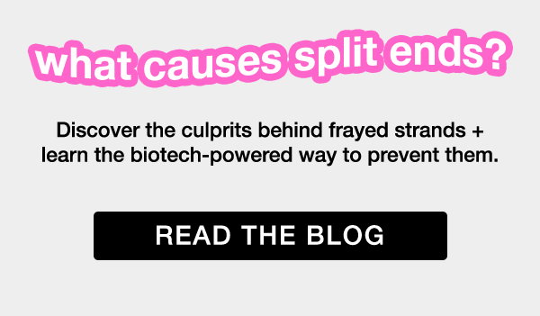 Read The Blog