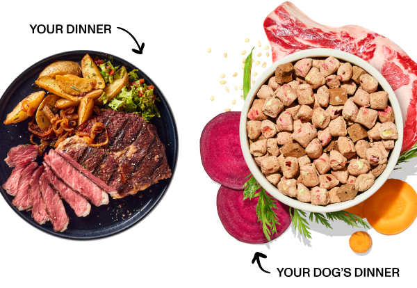 YOUR DINNER - YOUR DOG'S DINNER