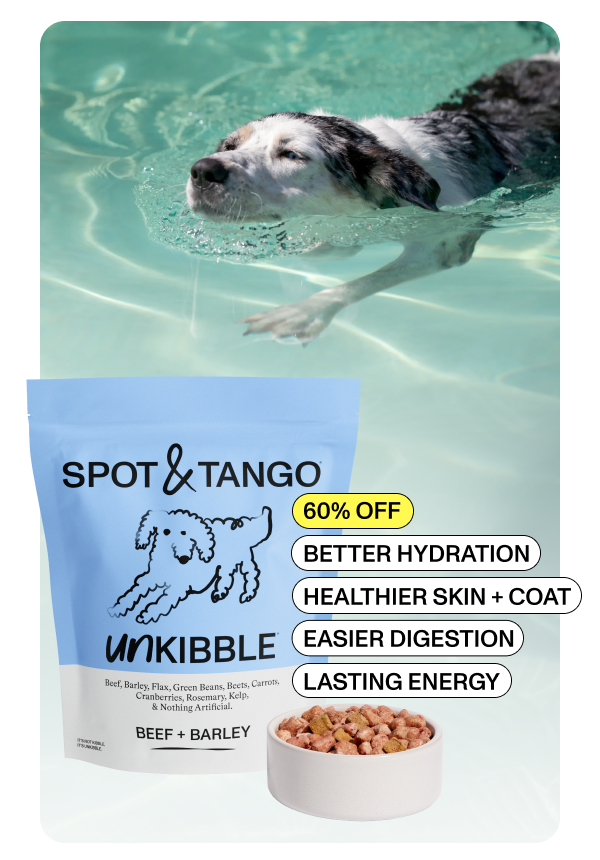 SPOT&TANGO  60% OFF  BETTER HYDRATION  HEALTHIER SKIN + COAT  EASIER DIGESTION  LASTING ENERGY  BEEF + BARLEY