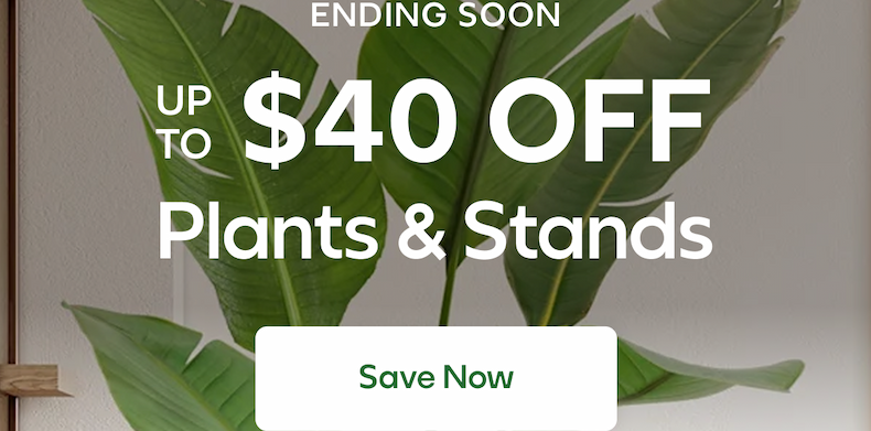 Up to $40 OFF Plants & Stands