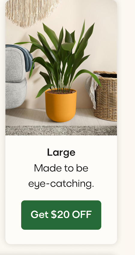 Large
