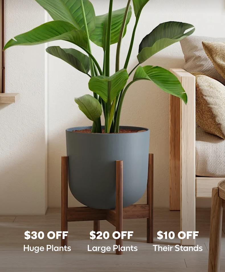 $30 OFF Huge Plants $20 OFF Large Plants $10 OFF Stands