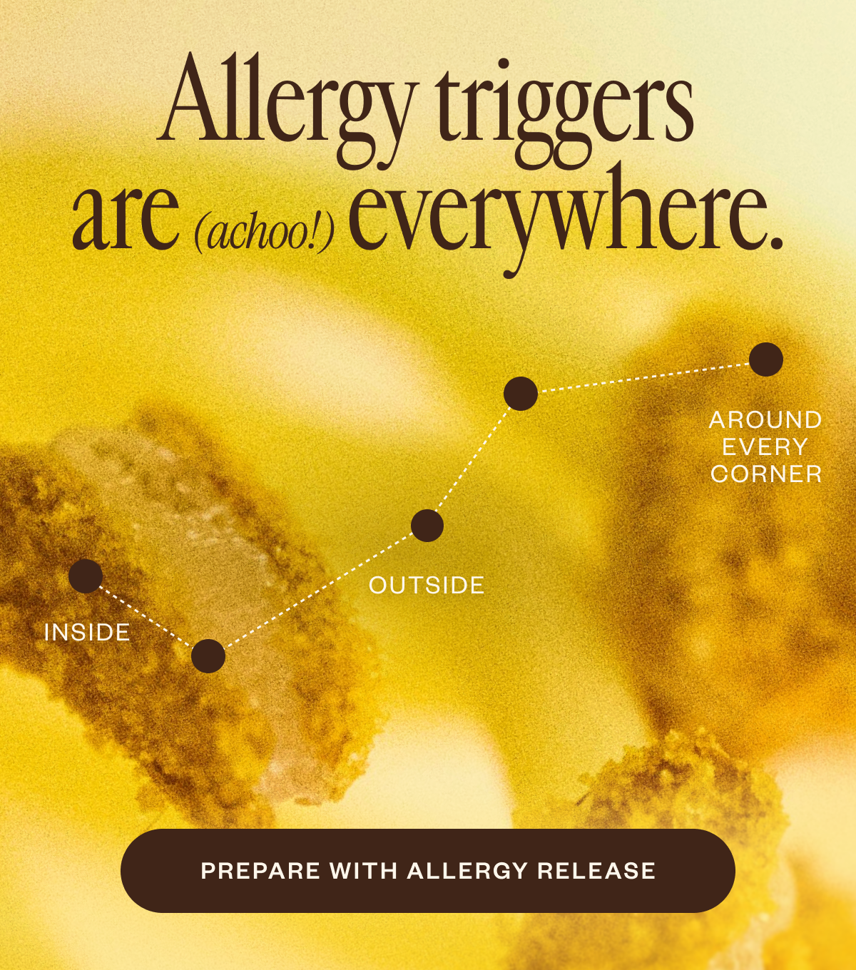 Allergy triggers are everywhere!