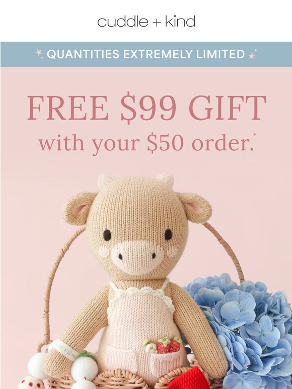 ⏰ your FREE gift is going, going...