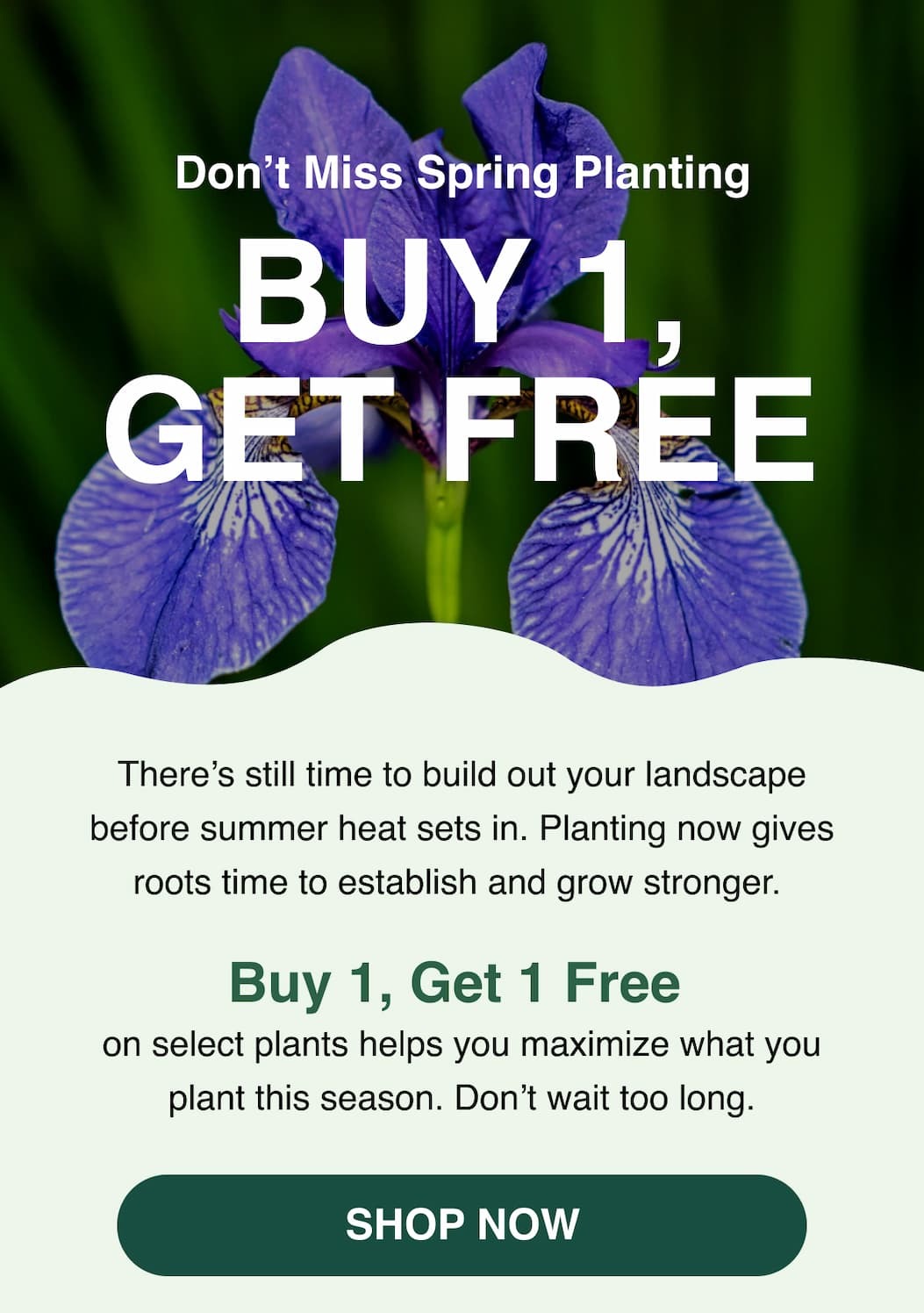 Buy 1, Get 1 Free on most items store-wide.
