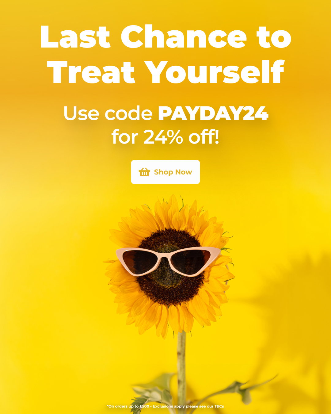 Special Offers