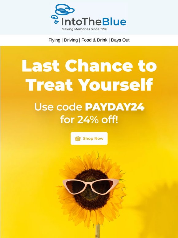 24% Off Ends at Midnight 💸