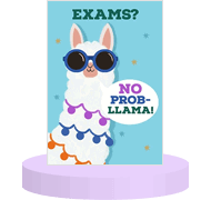 Exam Good Luck