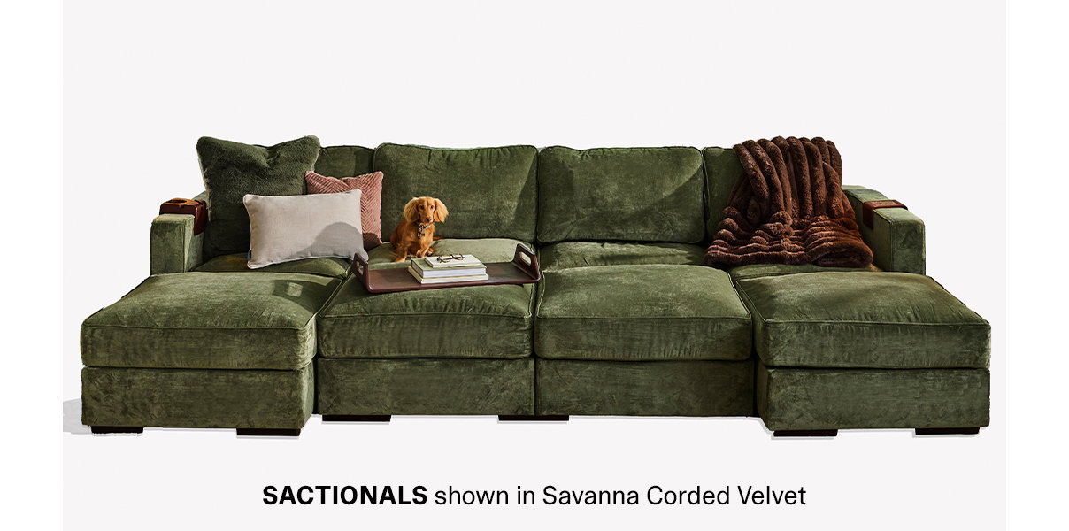 Sactionals