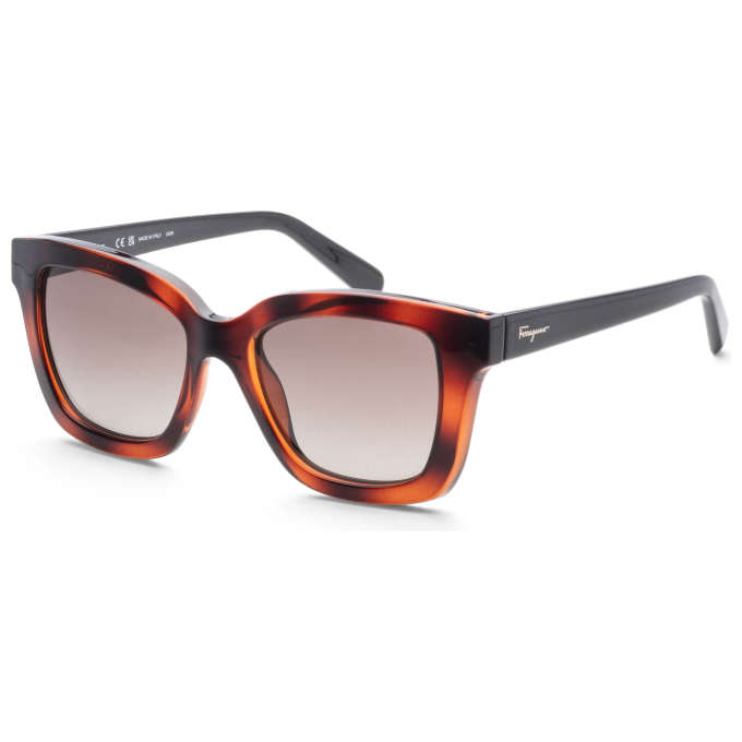 Ferragamo Fashion Women's Sunglasses SF955S-214