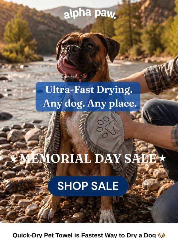 🚀 Fastest way to dry a soggy dog & save 57%