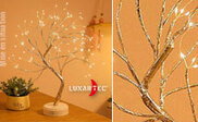 Image Article