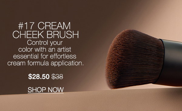 Slot 7: Control your color with #17 Cream Cheek Brush. $28.50 $38