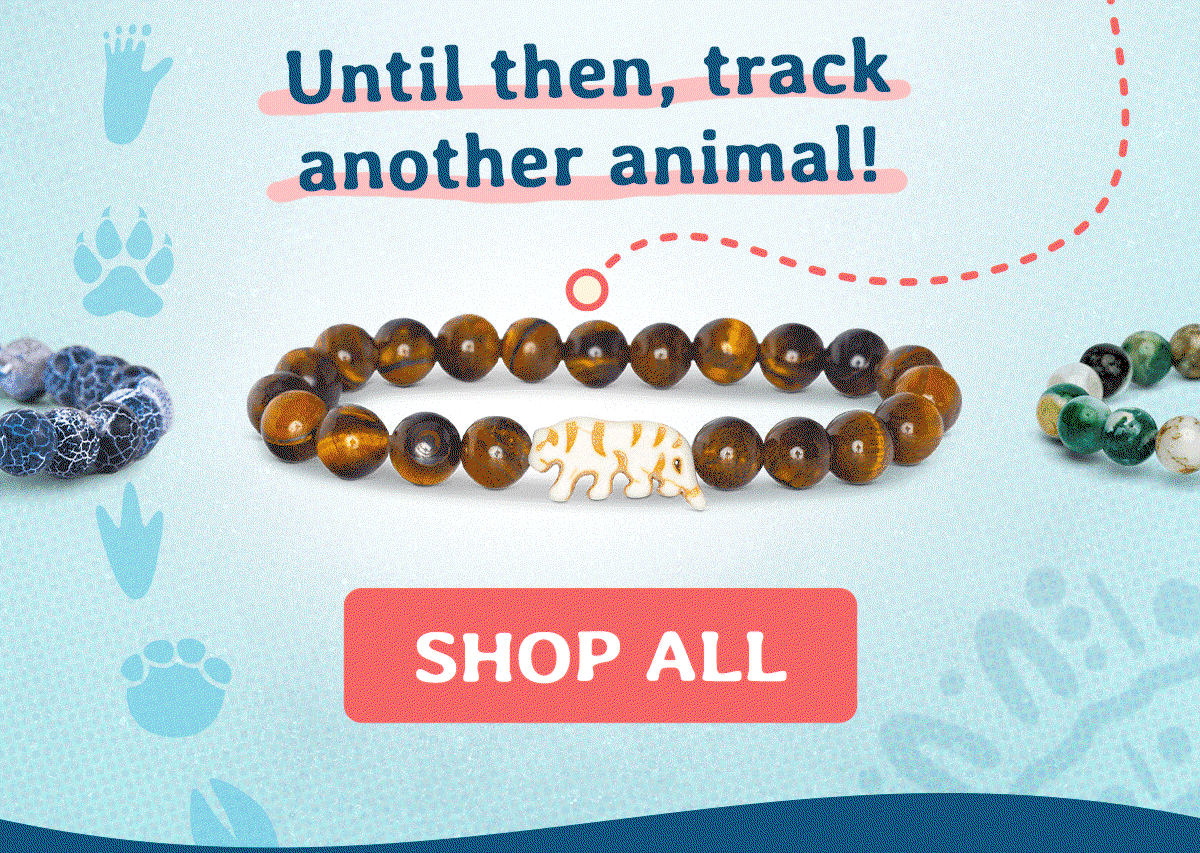 Make sure to set your alarm for 8pm EST on May 28th, because they sell out FAST!