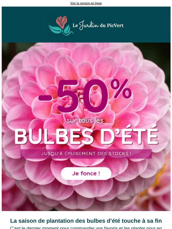 Bonne nouvelle  : profitez de -50% sur les bulbes d’été !