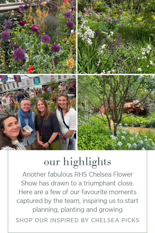 Our highlights. Another fabulous RHS Chelsea Flower Show has drawn to a triumphant close. Here are a few of our favourite moments captured by the team, inspiring us to start planning, planting and growing. Shop our inspired by Chelsea picks.