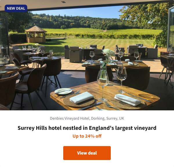 Surrey Hills hotel nestled in England's largest vineyard