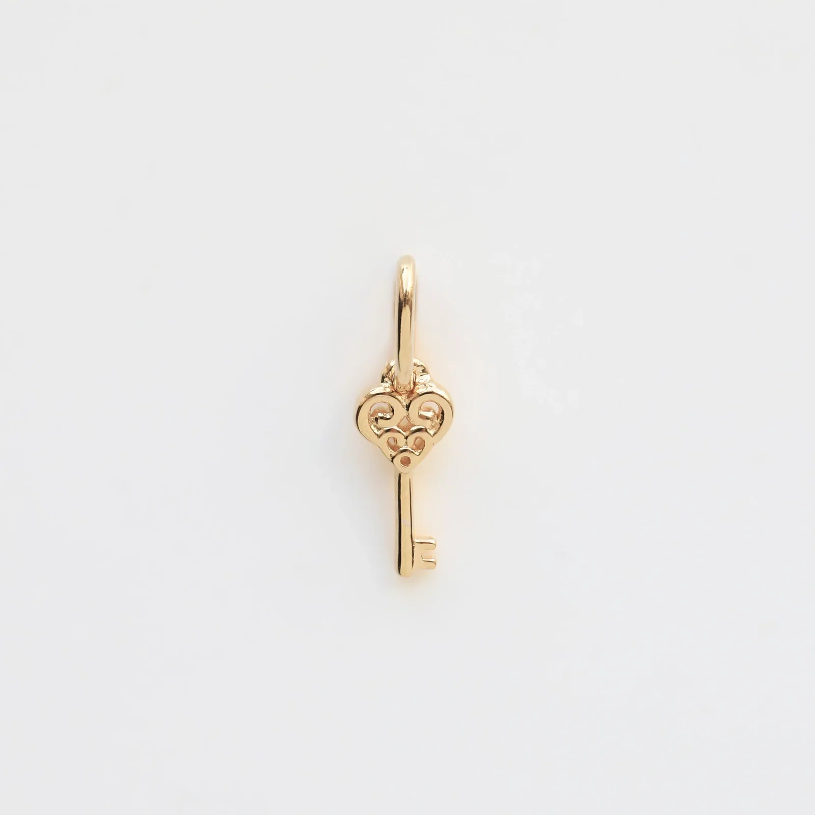 Image of Treasured Key Charm