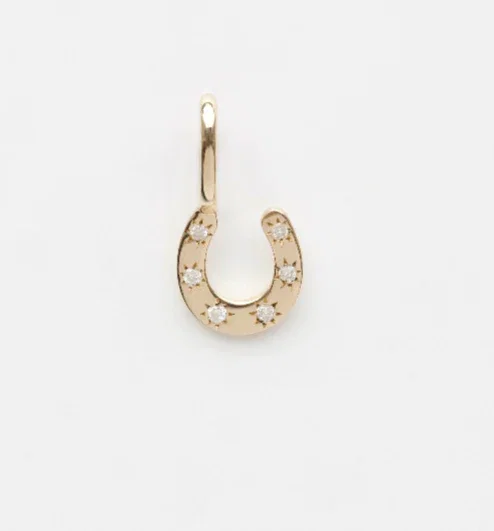 Image of Treasured Diamond Horseshoe Charm